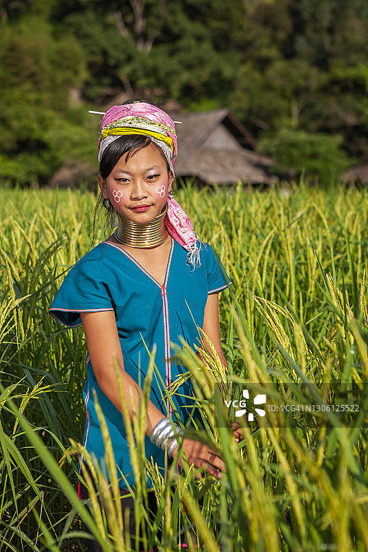 长颈喀伦族年轻女孩穿过稻田的肖像图片素材