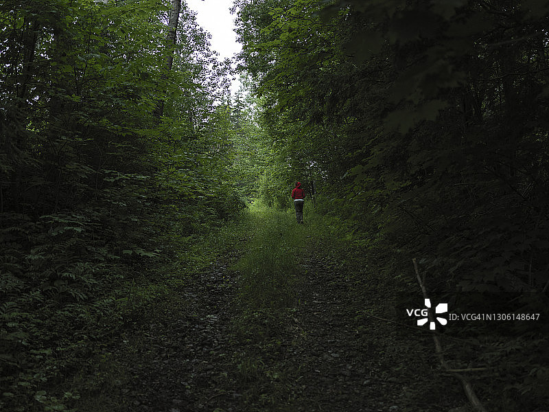 自然小径图片素材