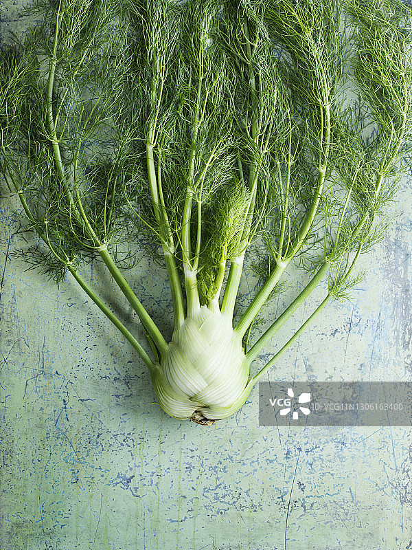 新鲜茴香俯视图图片素材