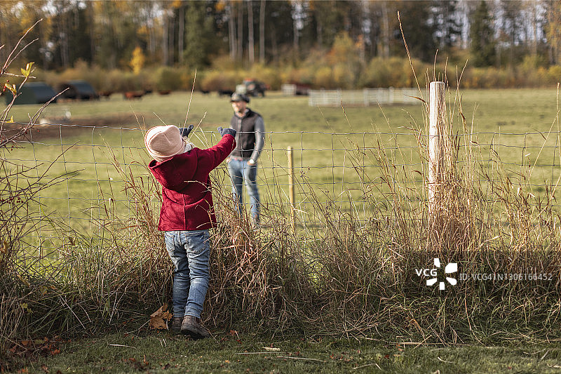 穿红夹克女孩在农场图片素材