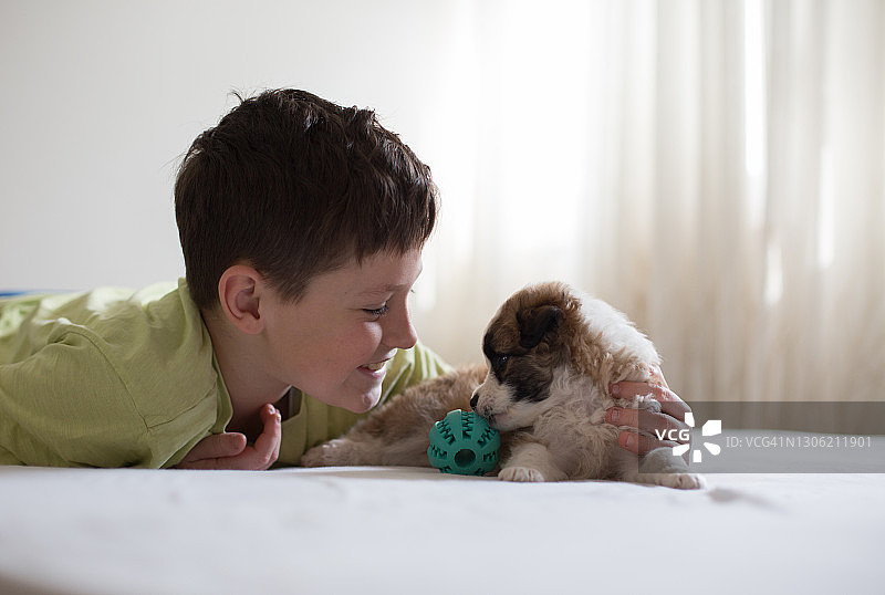 男孩躺在床上和小狗玩耍图片素材