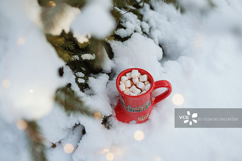 棉花糖、松树热巧克力照片图片素材
