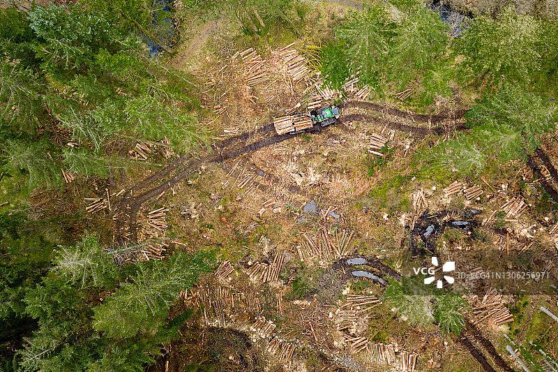 苏格兰松树林作业区无人机视角图片素材