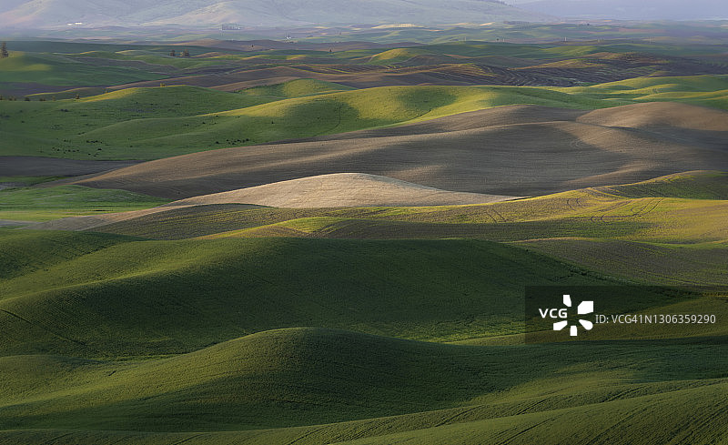 帕卢斯绿色的波浪图片素材