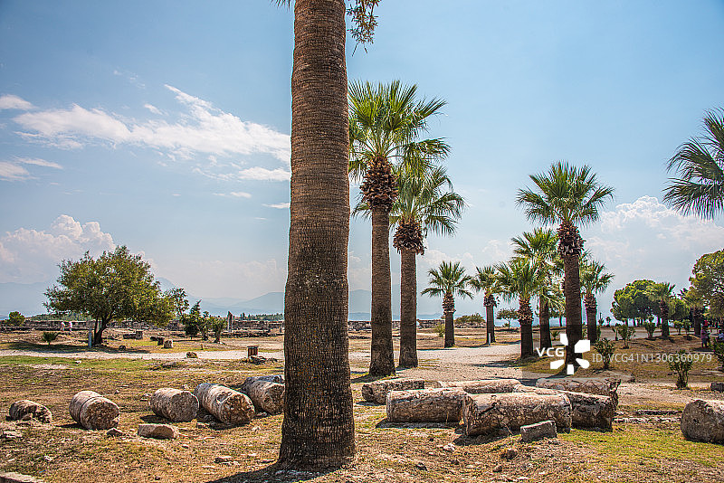 土耳其棉花堡希拉波利斯成排的棕榈树图片素材