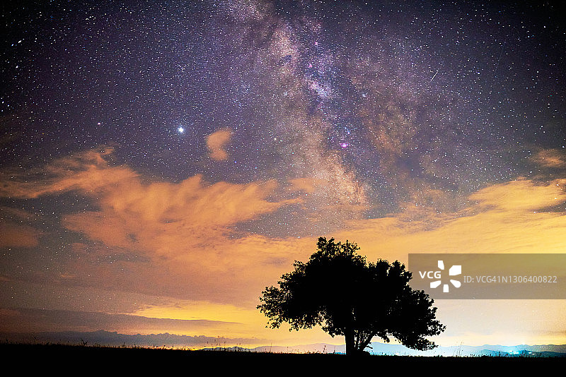 银河背景下的孤独的树图片素材