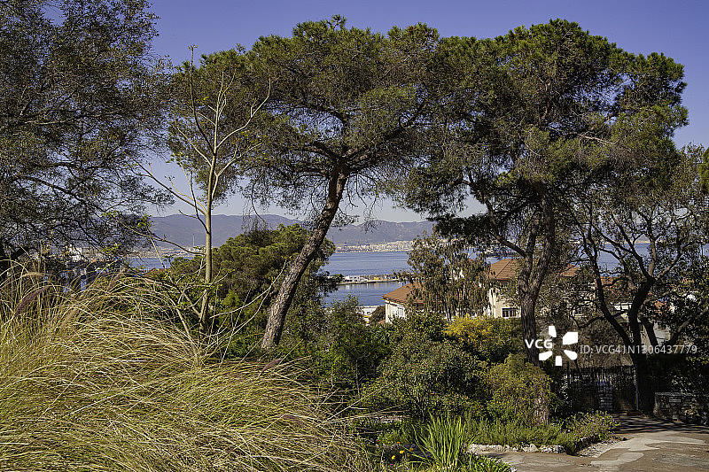 直布罗陀阿拉梅达植物园，向西眺望阿尔赫西拉斯图片素材