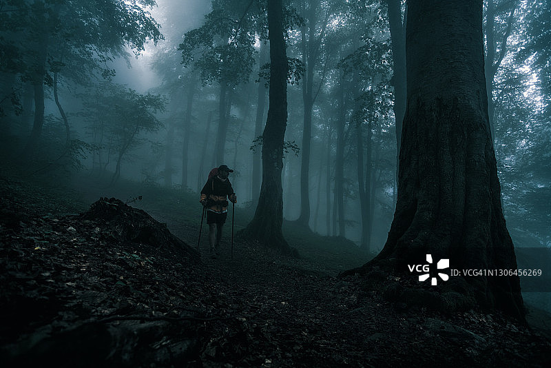 徒步者在阴森恐怖的森林中漫步图片素材
