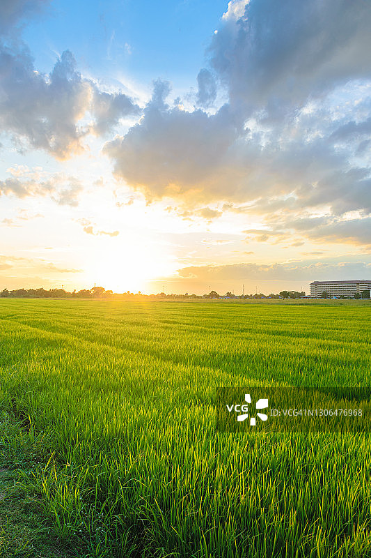 日落时天空下的农场风景图片素材