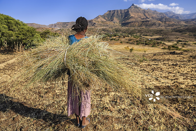 非洲年轻女孩搬运稻草，东非图片素材