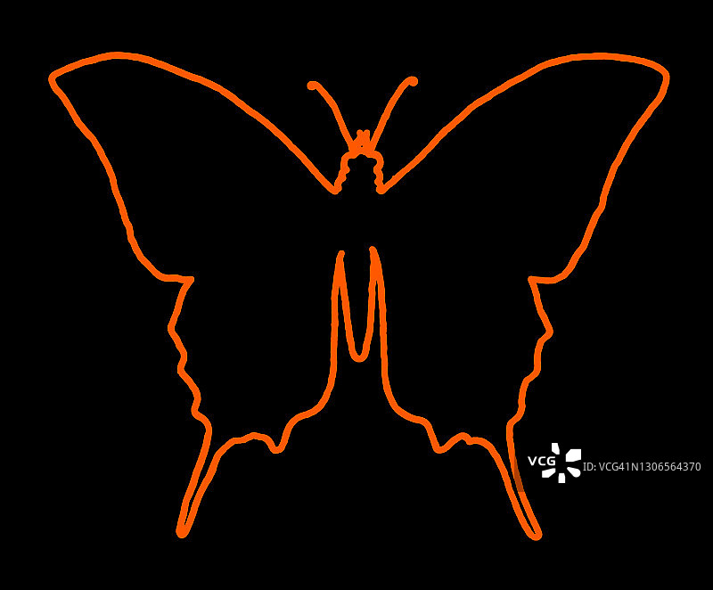 蝴蝶轮廓图片素材