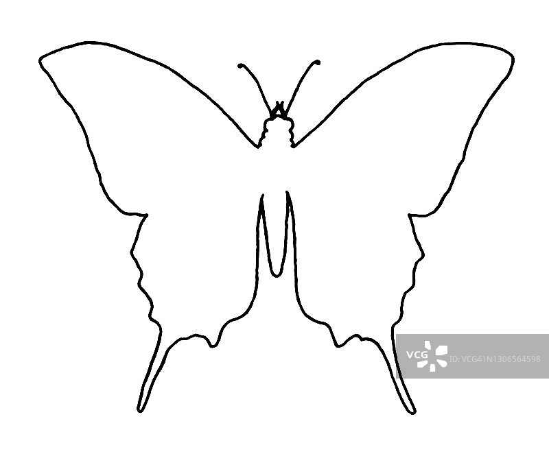 蝴蝶轮廓图片素材