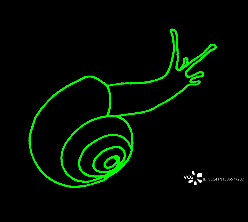 蜗牛轮廓图片素材