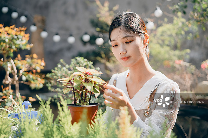 女孩与鲜花图片素材