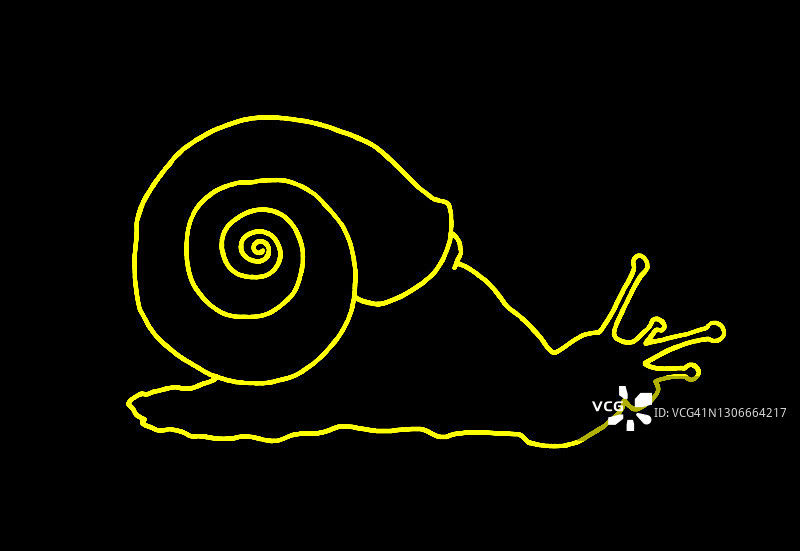 蜗牛轮廓图片素材