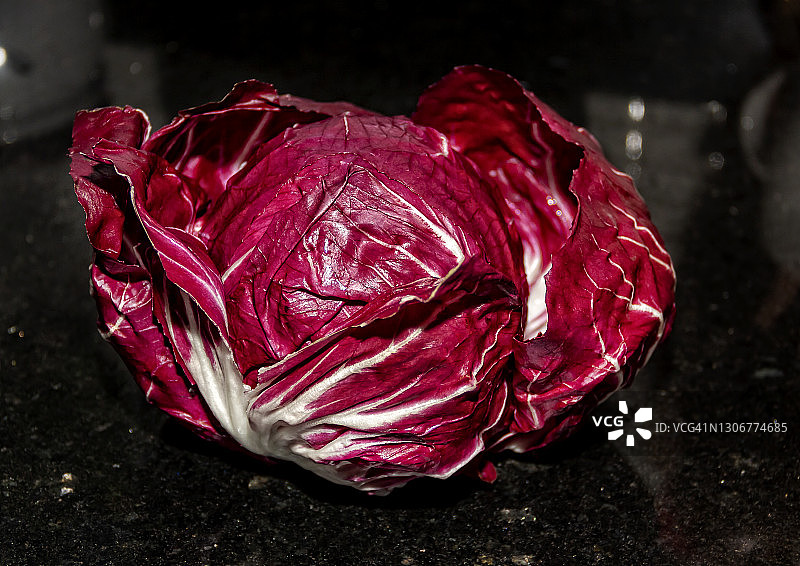 红色菊苣图片素材