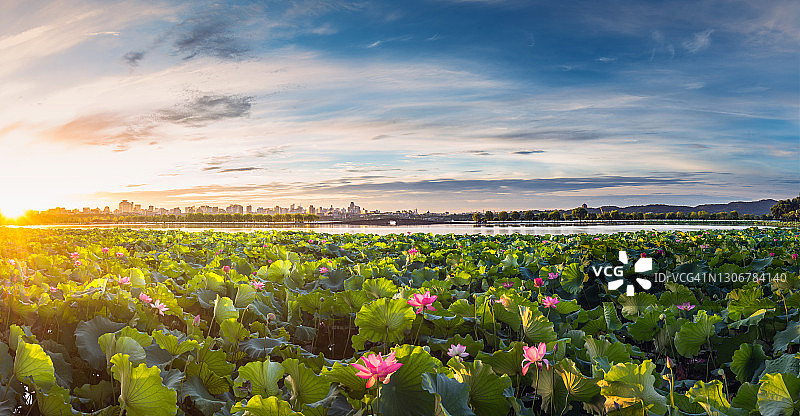 中国杭州西湖断桥秋景图片素材