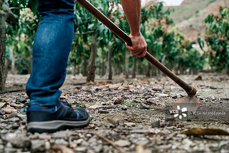 农场主在果园里锄地图片素材