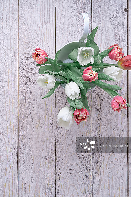 粉色系，白色和粉色郁金香在白色木桌上，俯视图图片素材