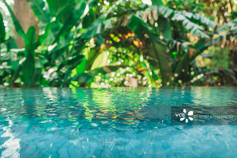 丛林中的无边泳池背景图片素材