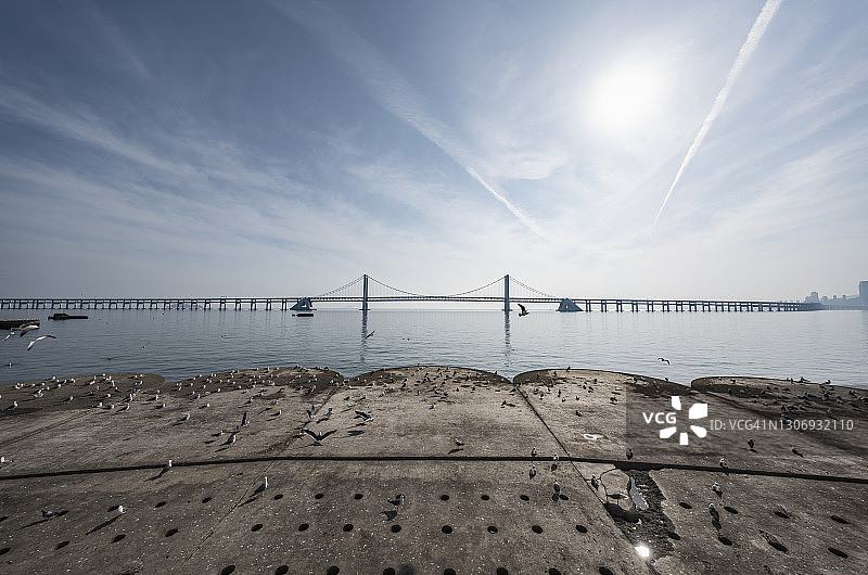 大连星海湾大桥图片素材