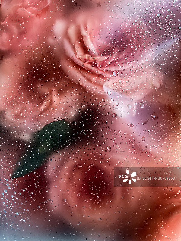 玻璃上的雨滴与粉色花束图片素材