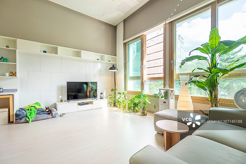 现代时尚明亮的客厅图片素材