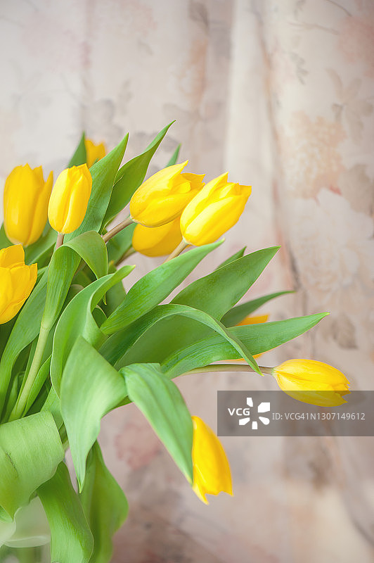 玻璃花瓶中的黄色郁金香摄影图片素材