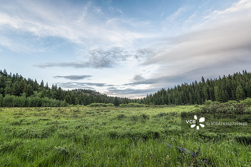 科罗拉多州清晨的草原图片素材