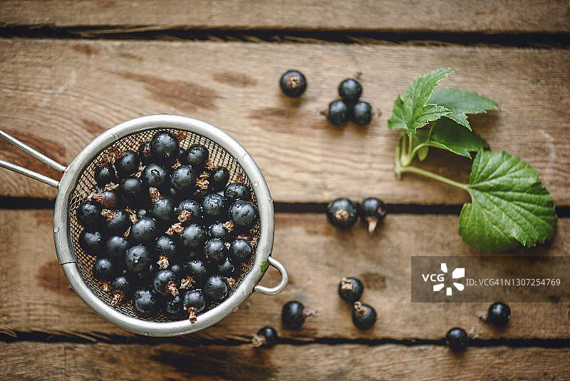 新鲜黑醋栗图片素材