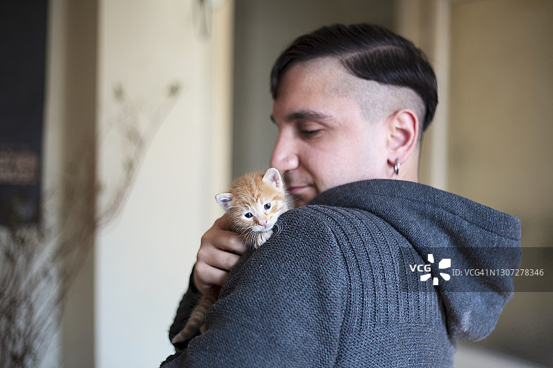 在男人手中的小猫图片素材