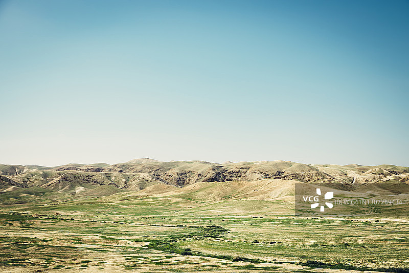 春季的绿色沙漠图片素材