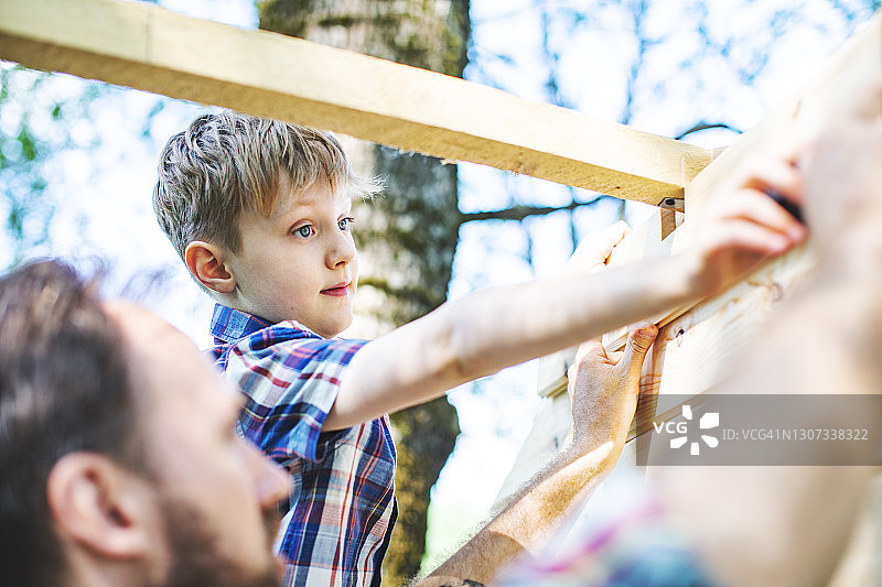 父子在后院建造树屋图片素材