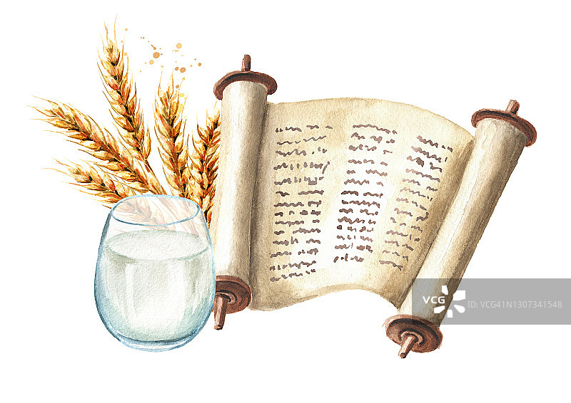 摩西五经，牛奶和小麦。犹太节日五旬节的象征。水彩手绘插图，孤立的白色背景图片素材