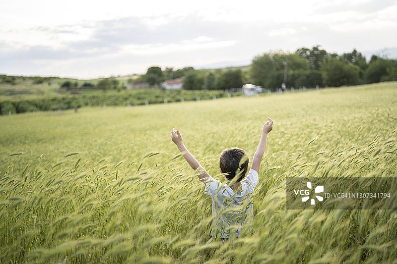 高于草地图片素材