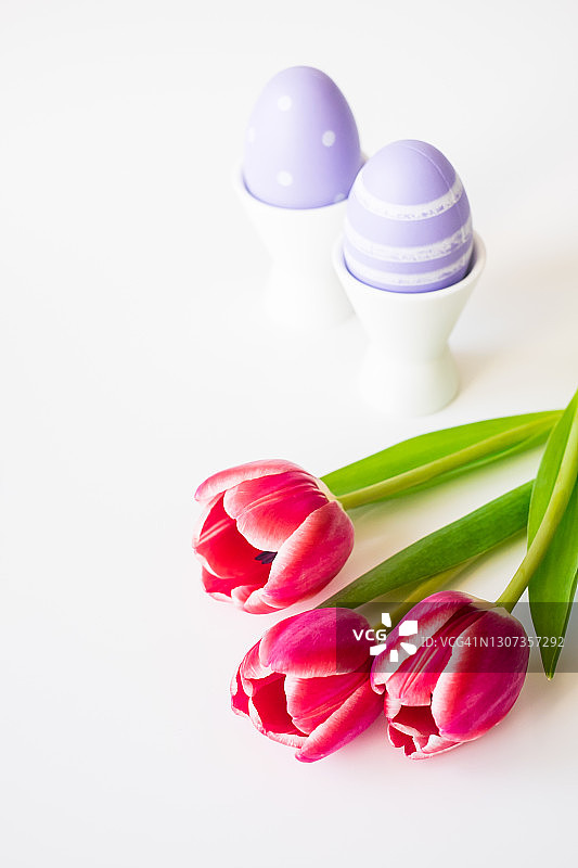 彩绘复活节彩蛋、蛋杯和粉色郁金香，白色背景。留白区域。图片素材