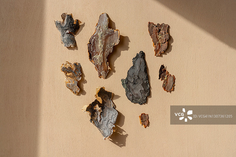 不同树皮的平面铺设。图片素材