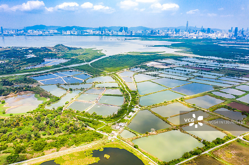 香港鱼塘无人机航拍图片素材