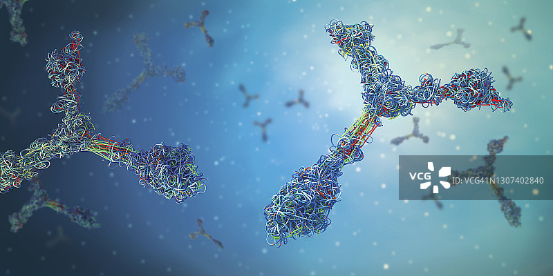 抗体，图示图片素材