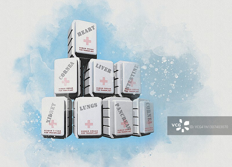 用于移植的人体器官概念图图片素材