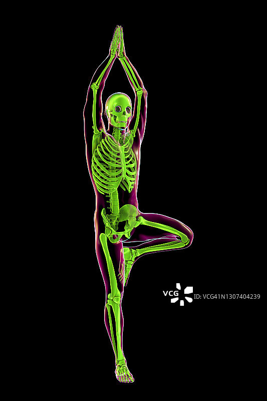 瑜伽树式插画图片素材