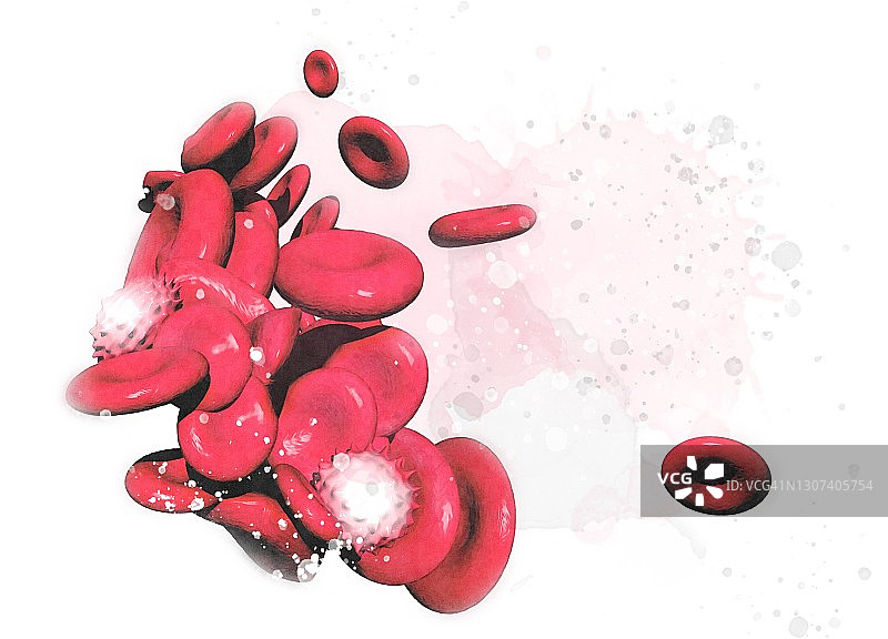 人类血细胞图图片素材