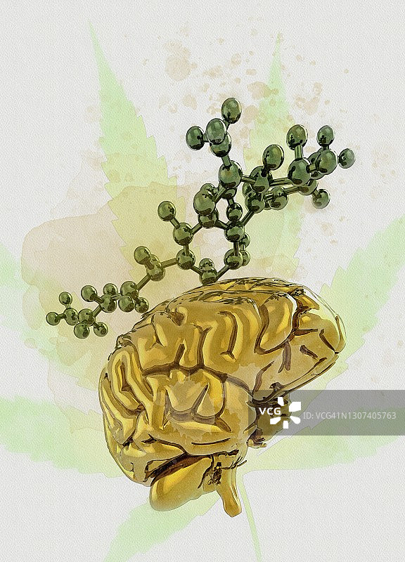 大麻与大脑插图图片素材
