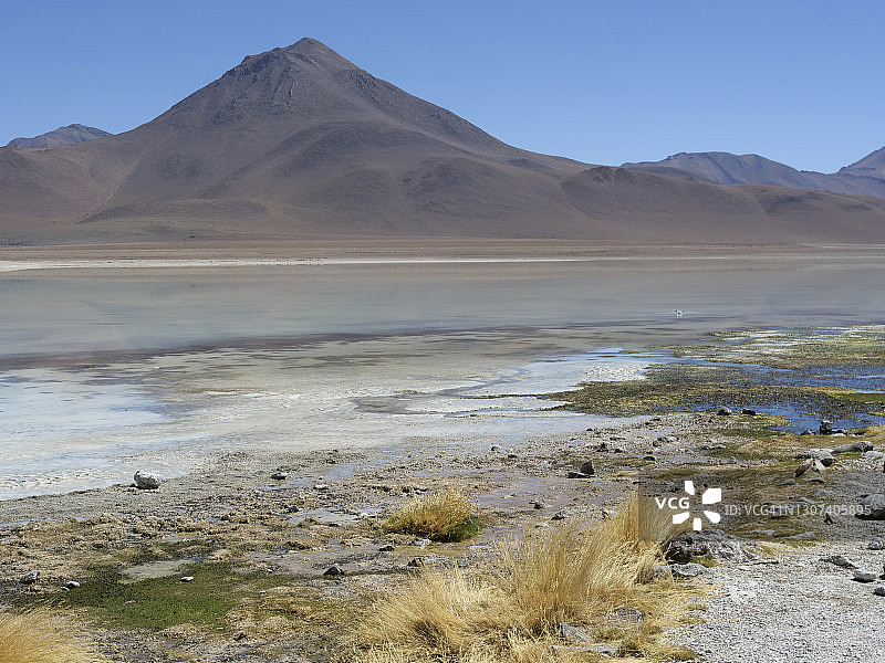 Laguna Verde与Licancabur火山图片素材