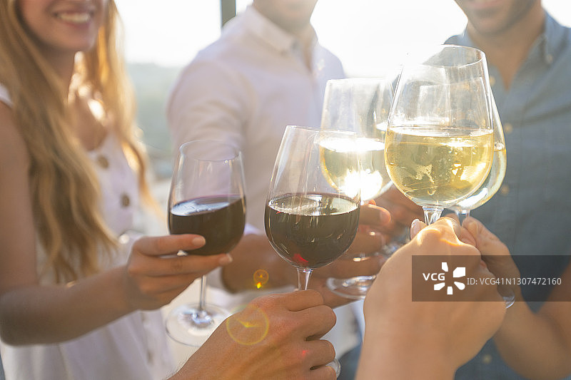 一群朋友在户外举杯红白葡萄酒庆祝图片素材