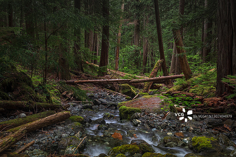 斯特拉斯科纳省立公园图片素材