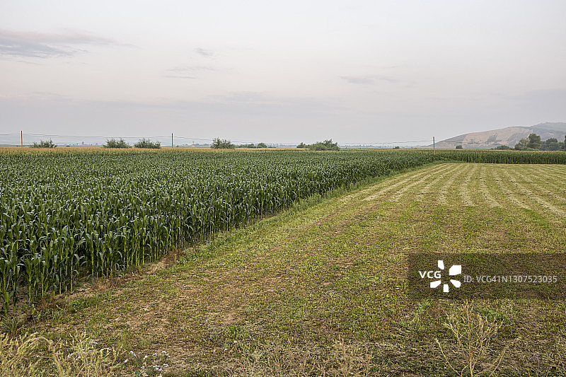 穆列什县的乡村风光图片素材