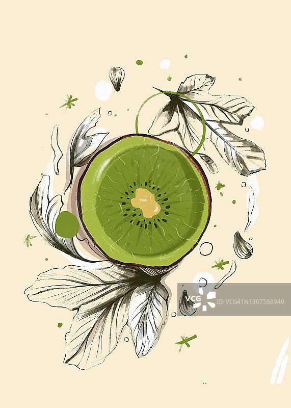 对半切开的猕猴桃插画图片素材