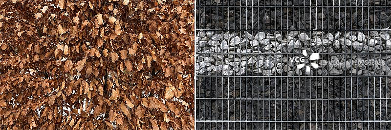 德国巴伐利亚冬季树叶与花园边界图片素材