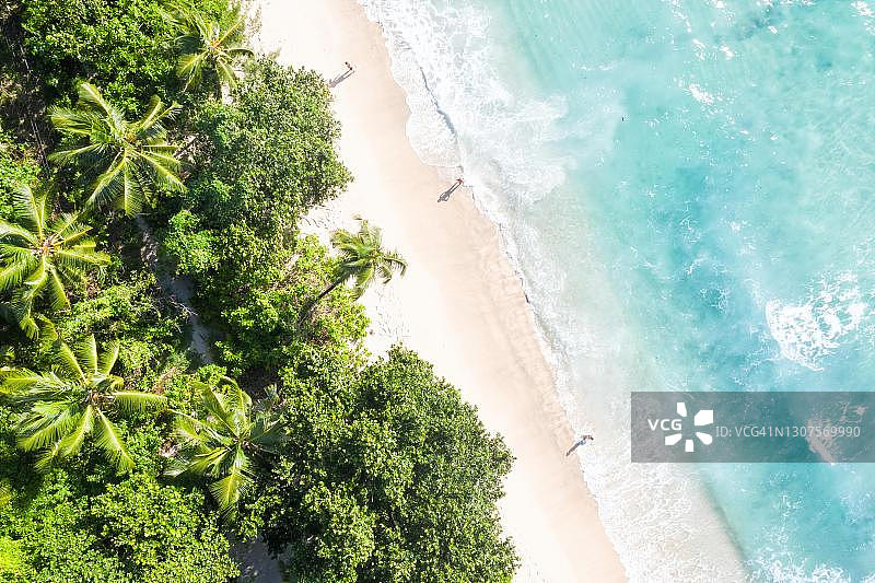 塞舌尔马埃岛塔卡马卡海滩航拍：天堂般的棕榈树海洋图片素材